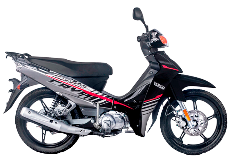 Modelo YBR125-ED